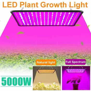 5000W Visą Spektrą Patalpų 256 Led Grow Lempa Augalų Auginimo Šviesos Palapinėje Fitolampy Fito Augalai, Gėlių Auginimo