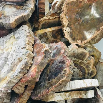 200-280g natūralių kristalų Suakmenėjęs medis gabalas rūdos egzempliorių dekoratyvinis kolekcija