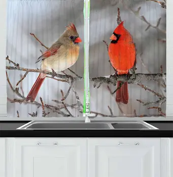 Paukščių Virtuvės Užuolaidos Porą Šiaurės Kardinolas Paukščiai ant Medžio Ornitologija Paukščių Laukinės Faunos Lango Užuolaidos Virtuvės Kavinė