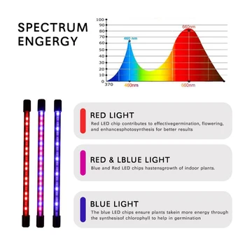 LED Grow Light 5V USB Fito Lempos Visą Spektrą Fitolampy Su Kontrolės Augalai, Sodinukai, Gėlių, Patalpų Fitolamp Augti Lauke palapinę
