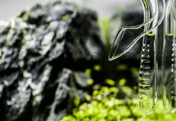 VIV mini nano stiklo vamzdis, orchidėja, žibuoklė pritekėjimo srautas ADA stiliaus akvariumo vandens augalų, žuvų bakas