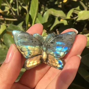 Labai reti turtingas gamtos brangakmenių, išraižytas labradoras mėlynas drugelis