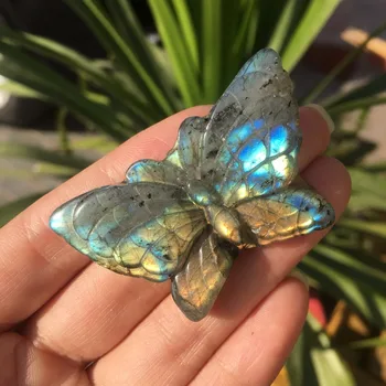 Labai reti turtingas gamtos brangakmenių, išraižytas labradoras mėlynas drugelis