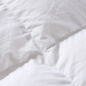 1.4~4.8 kg žąsų pūkų antklode šalikas antklodė žiemos baltos spalvos medvilnės padengti antklodė Vakarienę Karalius ir Karalienė Twin rusijos Šeimos Dydis