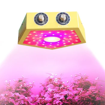 1000W Naujo Dizaino LED augalų auga šviesos lempos šviesos srautą galima reguliuoti COB visą Spektrą fitolampy patalpų sėja gėlių, daržovių fito lempos