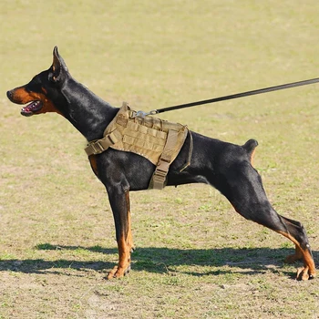 Karinis Taktinis Šunį Vest Panaudoti K9 Darbinis Šuo Nailono Bungee Pavadėlio Veda Mokymus Veikia Vidutinių Didelių Šunų, Vokiečių Aviganis